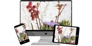 Beitragsbild des Blogbeitrags Oktober-Wallpaper: Ikebana 