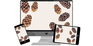Beitragsbild des Blogbeitrags November-Wallpaper: Tannenzapfen