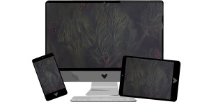Beitragsbild des Blogbeitrags Dezember-Wallpaper: Kiefern