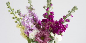 Beitragsbild des Blogbeitrags DIY: Blumen arrangieren