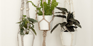 Beitragsbild des Blogbeitrags Neu: Unser Craft Kit „Makramee-Blumenampel“
