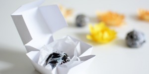 Beitragsbild des Blogbeitrags DIY: Seed Bombs selber machen