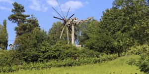Beitragsbild des Blogbeitrags Demmerkogel: Die Kräuter unterm Klapotetz