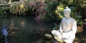 Beitragsbild des Blogbeitrags André Heller und sein Garten am Gardasee