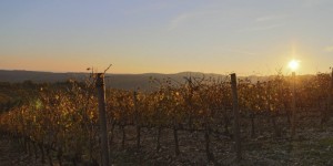 Beitragsbild des Blogbeitrags Herbsturlaub in der Toskana