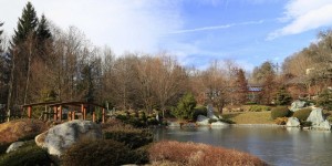 Beitragsbild des Blogbeitrags Winter im Bonsai-Garten in Seeboden