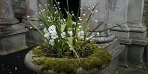Beitragsbild des Blogbeitrags Die schönsten Gartenreisen 2017: Neue Inspirationen aus fremden Gärten