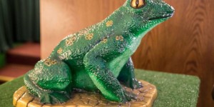 Beitragsbild des Blogbeitrags Froggyland Split: Frösche bitte im Museum nicht küssen! 