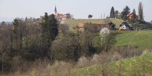 Beitragsbild des Blogbeitrags Wasser und Wein im Nordosten Sloweniens 
