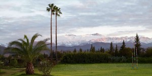 Beitragsbild des Blogbeitrags Anima-Garden: André Heller über sein Gartenparadies in Marrakesch