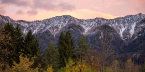 Beitragsbild des Blogbeitrags Klimafitter Wald: Ausflug in den Kärntner Forst