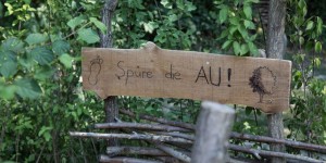 Beitragsbild des Blogbeitrags Nationalpark Donau-Auen: Dschungel-Abenteuer in Österreich