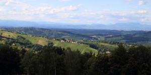 Beitragsbild des Blogbeitrags Sulmtal-Sausal: Picknick-Binkerl für die Weinberge