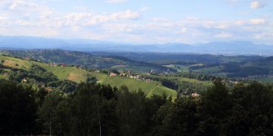 Beitragsbild des Blogbeitrags Sulmtal-Sausal: Picknick-Binkerl für die Weinberge 