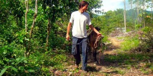 Beitragsbild des Blogbeitrags Insidertalk mit Hannes Krakolinig über Ecuador