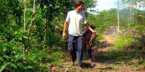 Beitragsbild des Blogbeitrags Insidertalk mit Hannes Krakolinig über Ecuador 