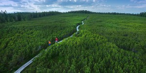 Beitragsbild des Blogbeitrags Slowenien inszeniert sich als fünftgrünstes Land der Welt