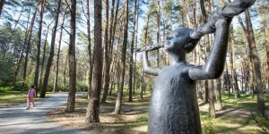 Beitragsbild des Blogbeitrags Litauen: Ruhe finden und Waldbaden in Birštonas