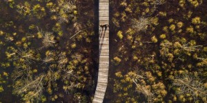 Beitragsbild des Blogbeitrags Litauen: Rings um das Haff – Roadtrip-Ideen rund um Kaunas 