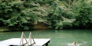 Beitragsbild des Blogbeitrags Wo der Wald Laune macht: 5 Urlaubstipps in den Wanderhotels