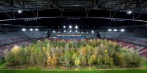 Beitragsbild des Blogbeitrags Waldbaden in Kärnten – was von For Forest bleibt