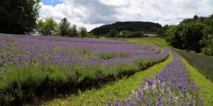 Beitragsbild des Blogbeitrags Die meist gelesenen Reisegeschichten 2019