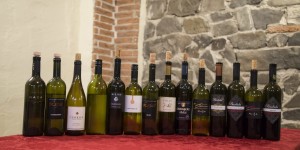 Beitragsbild des Blogbeitrags Das Vipava-Tal und seine Weine