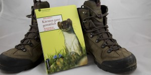 Beitragsbild des Blogbeitrags Wandern in Kärnten – Ideen für Erkundungen an der frischen Luft