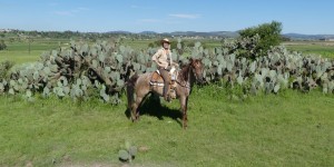 Beitragsbild des Blogbeitrags Unterwegs mit Tequila – Reiturlaub in Mexiko