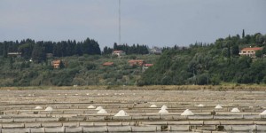 Beitragsbild des Blogbeitrags Wandern an der Adria: Portorož & Piran zu Fuß entdecken