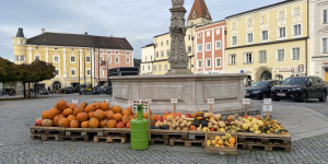 Beitragsbild des Blogbeitrags Best of Genuss Reise durchs Mühlviertel: Kulinarische Entdeckungen in Oberösterreich 