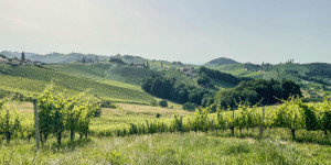 Beitragsbild des Blogbeitrags Urlaub in der Südsteiermark: Tipps für die steirische Toskana 