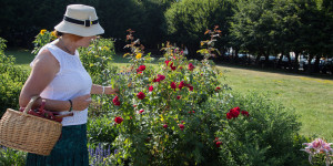 Beitragsbild des Blogbeitrags Kreativurlaub im Kloster: vom Ikonenmalen bis hin zum Gartenkurs 