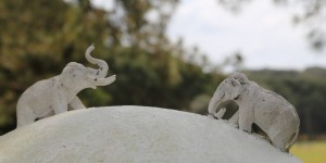 Beitragsbild des Blogbeitrags Istrien auf grünen Pfaden 