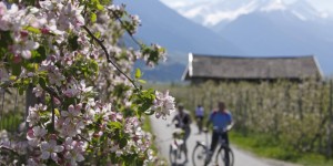 Beitragsbild des Blogbeitrags Heißes Wasser und Kaffee für frische Waden in Südtirol