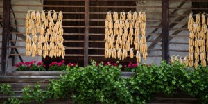 Beitragsbild des Blogbeitrags Wenn des, wos da is, zur Marke wird: Slow-Food-Travel im Gailtal und Lesachtal
