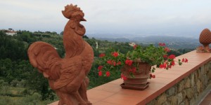 Beitragsbild des Blogbeitrags Was sich heuer in der Toskana tut