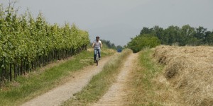 Beitragsbild des Blogbeitrags Italien für Fortgeschrittene: Wein und Bike in Brescia