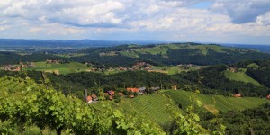 Beitragsbild des Blogbeitrags Genuss im steirischen Sulmtal-Sausal