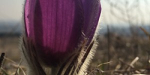 Beitragsbild des Blogbeitrags 3 Gründe, warum Menschen jetzt kein Buch schreiben, Folge 39 DBT
