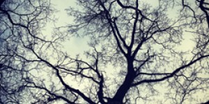 Beitragsbild des Blogbeitrags Von Freebies und Email-Listen – Folge 38 DBT