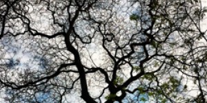 Beitragsbild des Blogbeitrags Wie du mit Xing effektiv netzwerkst – Petra Polk zu Gast Folge 28 DBT