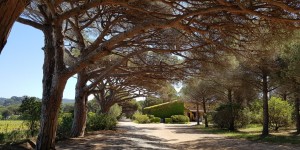 Beitragsbild des Blogbeitrags Top Things to do in Hyères – Provence – France
