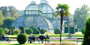 Beitragsbild des Blogbeitrags TOP things to see and do in Vienna in Autumn