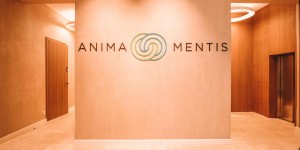 Beitragsbild des Blogbeitrags Top things to know and to do at Anima Mentis, the world’s first fitness center for the soul in Vienna 