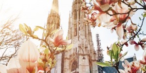Beitragsbild des Blogbeitrags Vienna – Springtime – Most beautiful blossoms and flower photos in Vienna, Austria