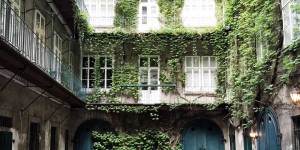 Beitragsbild des Blogbeitrags Lovely backyards in Vienna