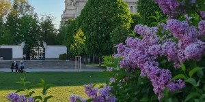 Beitragsbild des Blogbeitrags Top 10 reasons why you must visit Vienna now, Austria 