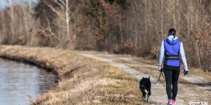 Beitragsbild des Blogbeitrags Wenn die Pollen fliegen – Trainingstipps für Allergiker
