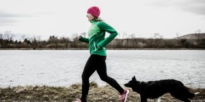 Beitragsbild des Blogbeitrags Tipps für Hundebegegnungen im Training 